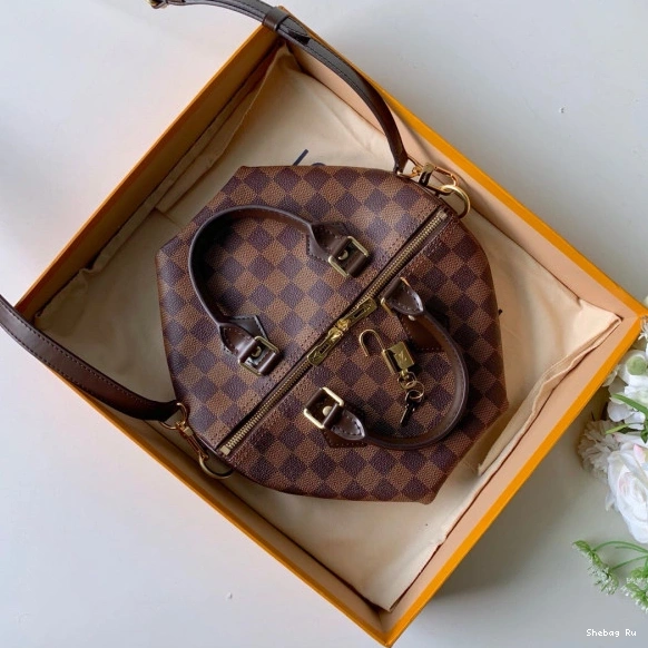 Vuitton Louis SPEEDY BANDOULIERE 25 0729